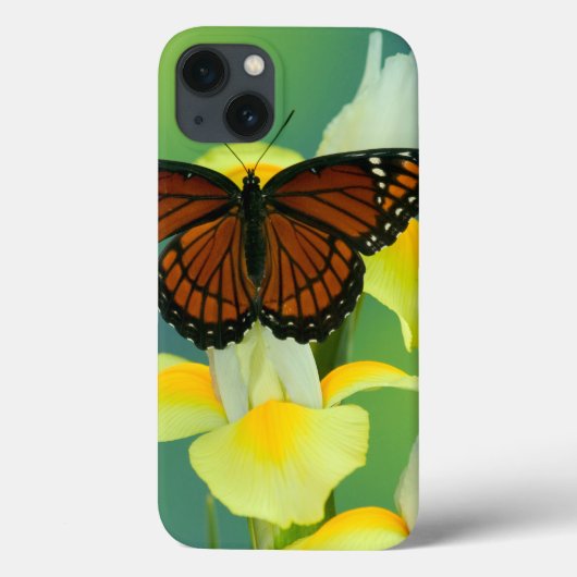 黄色く日本のなアイリスの提督の蝶 Case-Mate iPhoneケース (裏面)