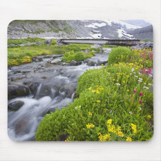 黄色く白いピンクの野生の花が付いているぼやけた川 マウスパッド (正面)