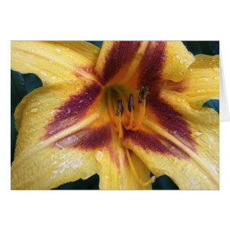 黄色く赤い火花