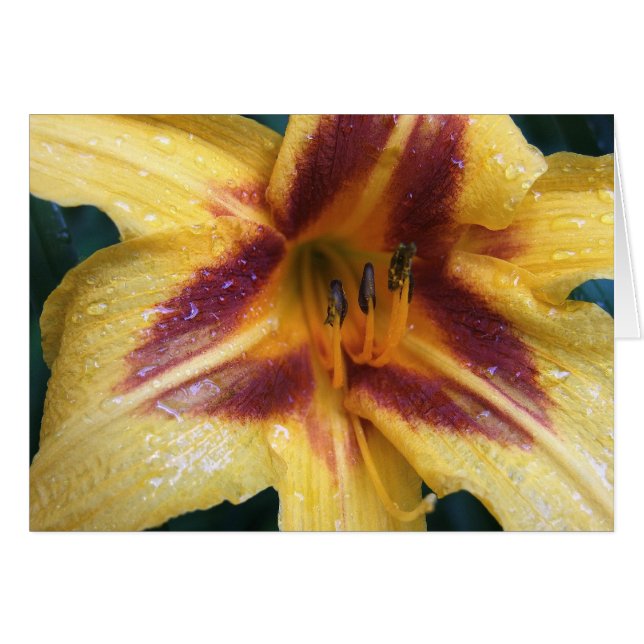 黄色く赤い火花 (正面横)