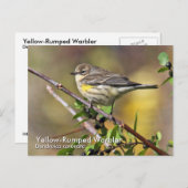 黄色く鳴る曲がったはがき ポストカード (正面/裏面)