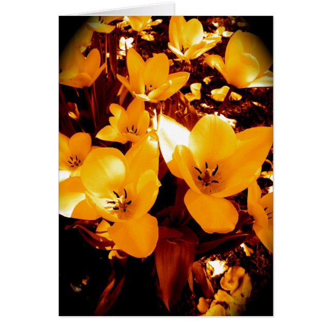 黄色でかわいらしい (正面)