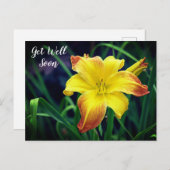 黄色とオレンジのデイリーが元気になる ポストカード (正面/裏面)