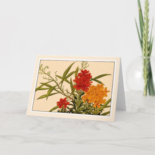 黄色とオレンジの壁の花、植物画アートカード サンキューカード (正面)