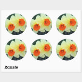 黄色とオレンジの水仙 ラウンドシール (シート)
