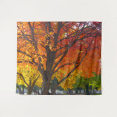 黄色とオレンジの秋の葉の写真 タペストリー (正面(横))