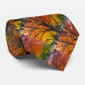 黄色とオレンジの秋の葉の写真 ネクタイ (ロール)