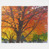 黄色とオレンジの秋の葉の写真 フリースブランケット (正面(横))