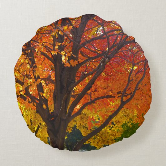 黄色とオレンジの秋の葉の写真 ラウンドクッション (裏面)