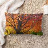 黄色とオレンジの秋の葉の写真 ランバークッション (ブランケット)