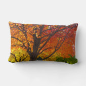 黄色とオレンジの秋の葉の写真 ランバークッション (裏面)