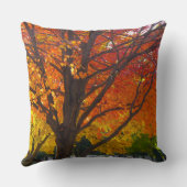 黄色とオレンジの紅葉写真 クッション (裏面)