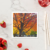 黄色とオレンジの紅葉写真 スタンダードカクテルナプキン (インサイチュ)