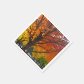 黄色とオレンジの紅葉写真 スタンダードカクテルナプキン (角)
