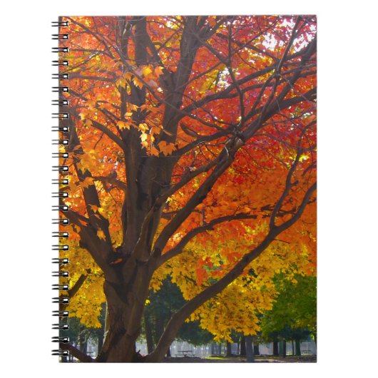 黄色とオレンジの紅葉写真 ノートブック (正面)