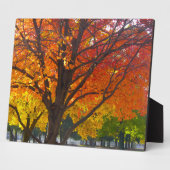 黄色とオレンジの紅葉写真 フォトプラーク (側面)