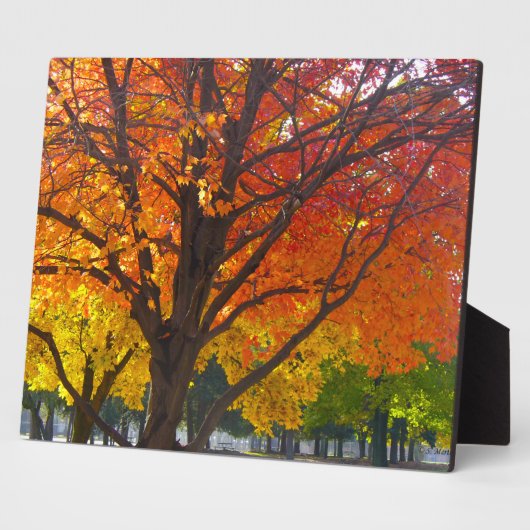 黄色とオレンジの紅葉写真 フォトプラーク (側面)