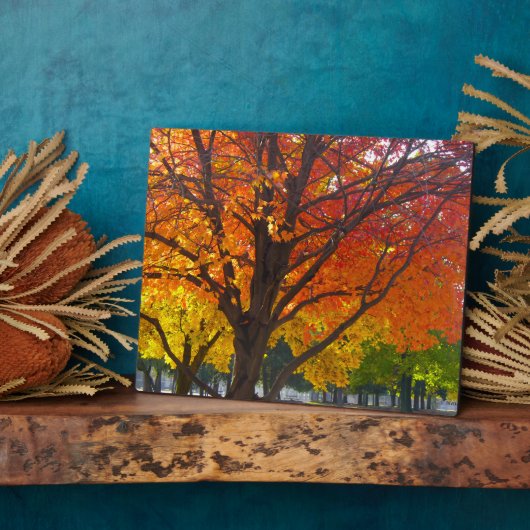 黄色とオレンジの紅葉写真 フォトプラーク (側面)