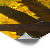 黄色とオレンジの紅葉写真 ポスター (角)