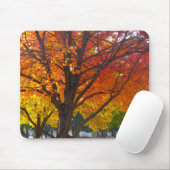 黄色とオレンジの紅葉写真 マウスパッド (マウス)