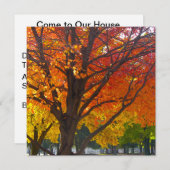 黄色とオレンジの紅葉写真 招待状 (正面/裏面)