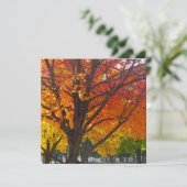 黄色とオレンジの紅葉写真 招待状 (スタンド正面)