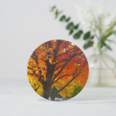 黄色とオレンジの紅葉 招待状 (スタンド正面)