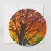 黄色とオレンジの紅葉 招待状 (正面)