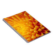 黄色とオレンジの菊 ノートブック (右側)