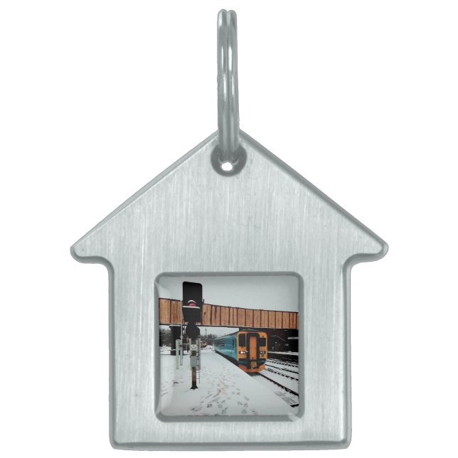 黄色とターコイズ ペットネームタグ (正面)