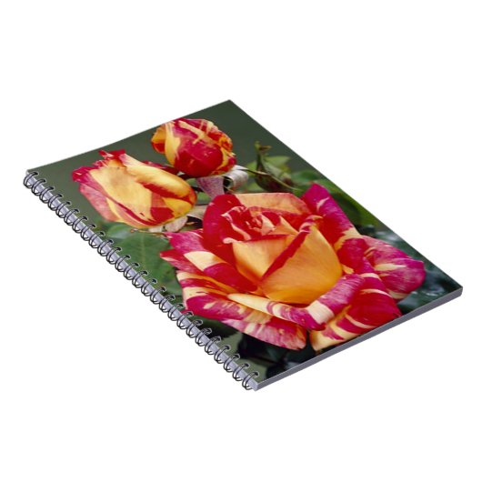 黄色とピンクのバラのスパイラルノートブック ノートブック (右側)