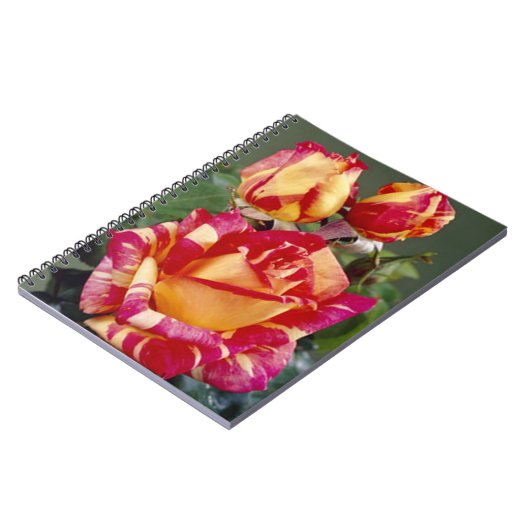 黄色とピンクのバラのスパイラルノートブック ノートブック (左側)