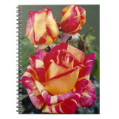 黄色とピンクのバラのスパイラルノートブック ノートブック (正面)