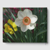 黄色とピンクの水仙のペア 春の花 ゲストブック (裏面)