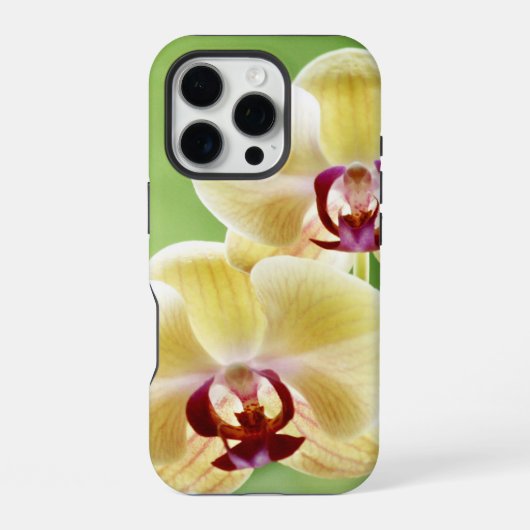 黄色とピンクの蘭 iPhoneケース (裏面)