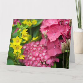 黄色とピンク カード