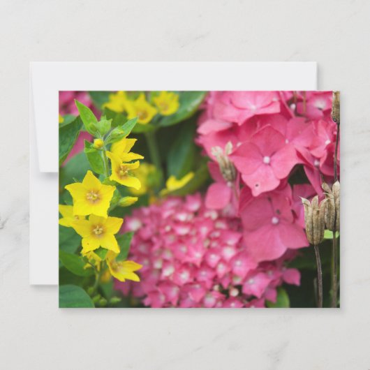 黄色とピンク カード (正面)