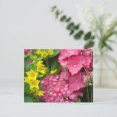 黄色とピンク カード (スタンド正面)