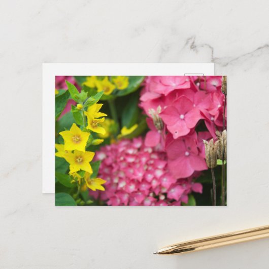 黄色とピンク シーズンポストカード (正面/裏面インサイチュ)