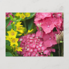 黄色とピンク シーズンポストカード