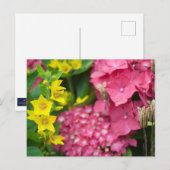 黄色とピンク ポストカード (正面/裏面)