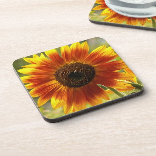 黄色とブロンズのひまわりフローラ コースター (左側)