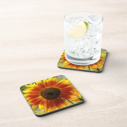 黄色とブロンズのひまわりフローラ コースター (右側)