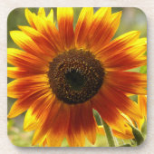 黄色とブロンズのひまわりフローラ コースター (正面)