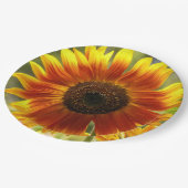 黄色とブロンズのひまわりフローラ ペーパープレート (アングル)