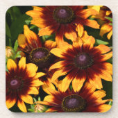 黄色とブロンズのラッドベッキーズフローラ コースター (正面)