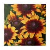 黄色とブロンズのラッドベッキーズフローラ タイル (正面)