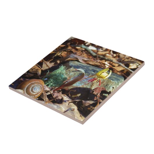 黄色と梅のスイレンとカタツムリ タイル (側面)