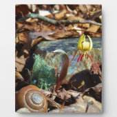 黄色と梅のスイレンとカタツムリ フォトプラーク (正面)