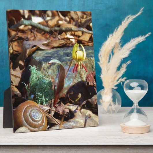 黄色と梅のスイレンとカタツムリ フォトプラーク (側面)